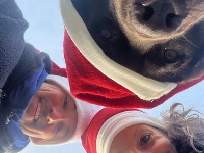 Fröhliche Weihnachten